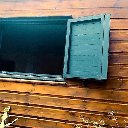 Saint-Paul Tiny House Les Cactus - Bungalow St Gilles Les Hauts מראה חיצוני תמונה