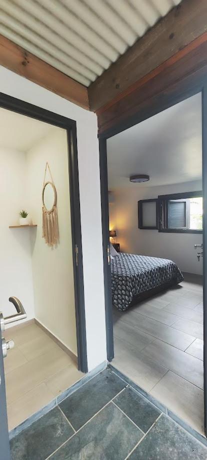 Saint-Paul Tiny House Les Cactus - Bungalow St Gilles Les Hauts מראה חיצוני תמונה